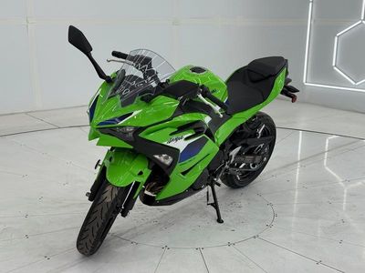 2026 Kawasaki Ninja 500 - Photo 2