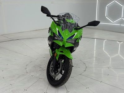 2026 Kawasaki Ninja 500 - Photo 3