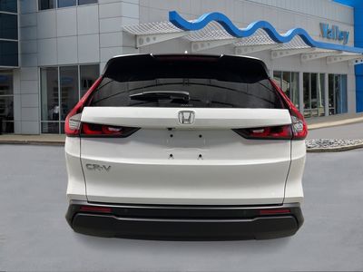 2026 Honda CR-V - Photo 4