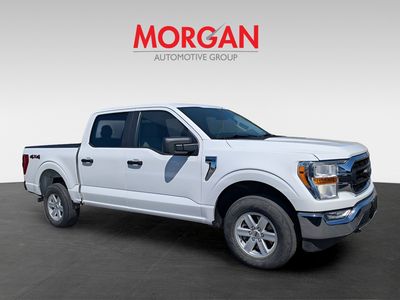 2022 Ford F-150 - Photo 2