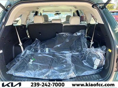 2026 Kia Sorento Hybrid — photo 10 view