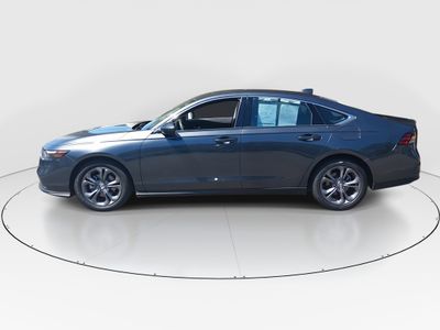 2024 Honda Accord Sedan - Photo 4