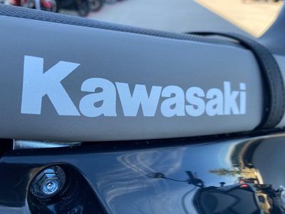 2026 Kawasaki KLX300SM - Photo 11