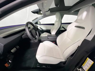 2024 Tesla Model 3 — photo 12 view