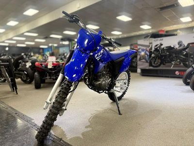 2025 Yamaha TT-R230 - Photo 3