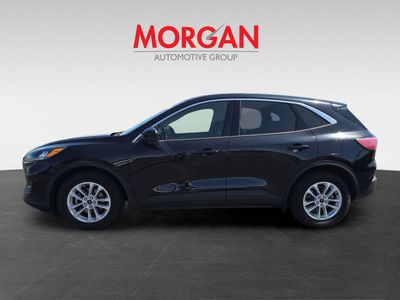 2020 Ford Escape - Photo 6