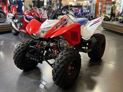 2026 Honda TRX250X - Photo 21