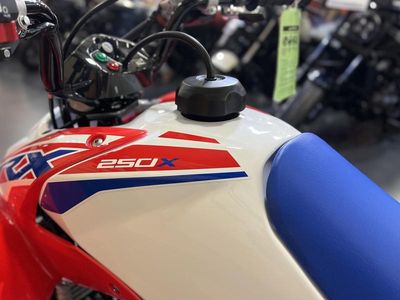 2026 Honda TRX250X - Photo 20
