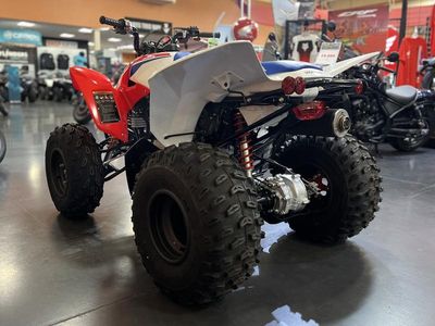 2026 Honda TRX250X - Photo 19