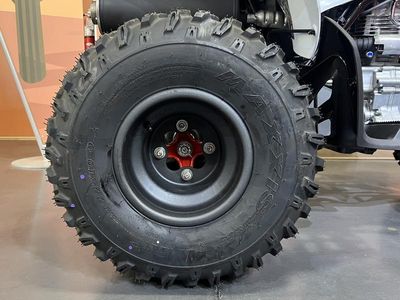 2026 Honda TRX250X - Photo 14