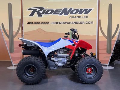 2026 Honda TRX250X - Photo 23