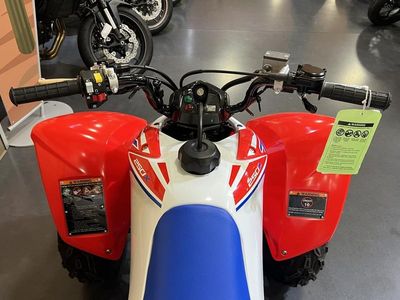 2026 Honda TRX250X - Photo 6