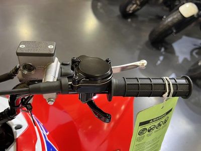 2026 Honda TRX250X - Photo 10