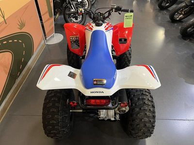 2026 Honda TRX250X - Photo 5
