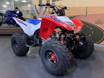 2026 Honda TRX250X - Photo 2