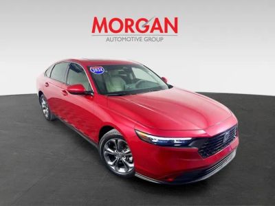 2024 Honda Accord — side profile view
