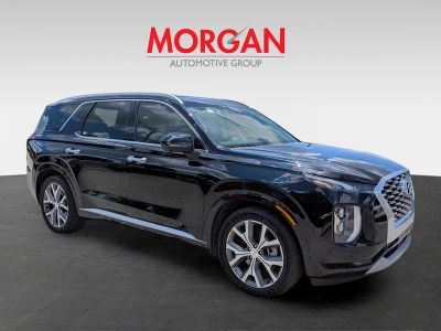 2022 Hyundai Palisade — side profile view