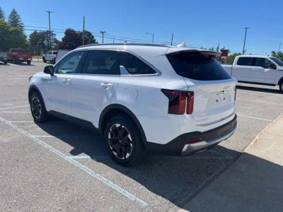 2024 Kia Sorento — rear three-quarter view