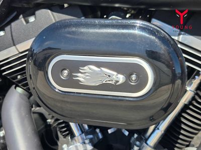 2017 Harley-Davidson FXDB - Street Bob - Photo 3