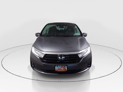 2024 Honda Odyssey - Photo 2