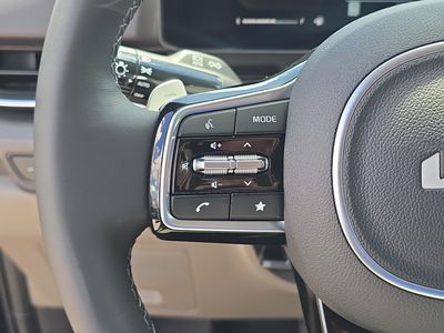 2026 Kia Carnival Hybrid — photo 31 view
