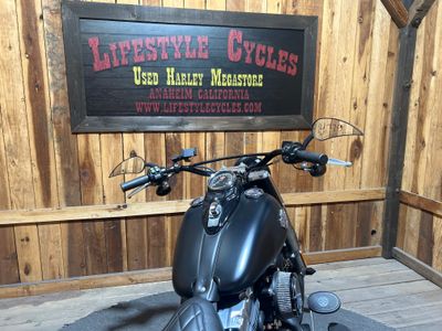 2017 Harley-Davidson Softail Slim - Photo 9