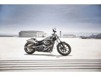 2014 Harley-Davidson Breakout - Photo 7