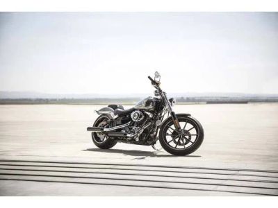 2014 Harley-Davidson Breakout - Photo 6