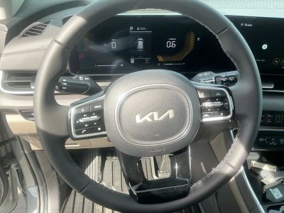 2026 Kia Carnival — photo 14 view