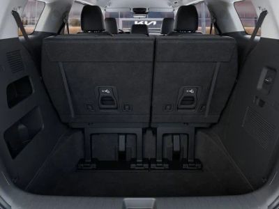 2026 Kia Carnival Hybrid — photo 19 view