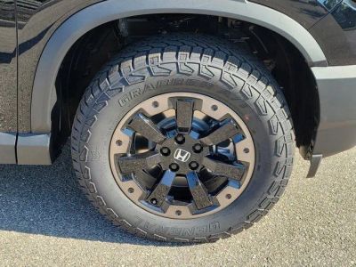 2026 Honda Passport — photo 9 view