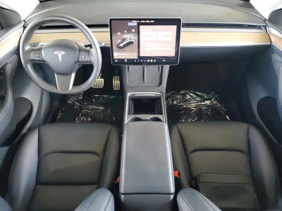 2024 Tesla Model Y — photo 11 view