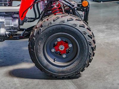 2026 Honda TRX250X - Photo 12