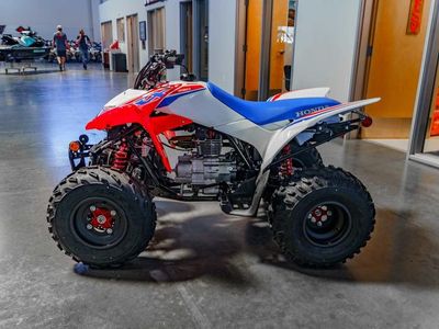 2026 Honda TRX250X - Photo 6