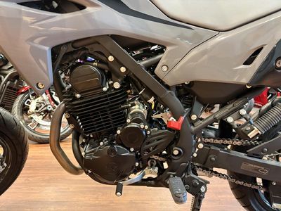 2024 Kawasaki KLX230SM ABS - Photo 10