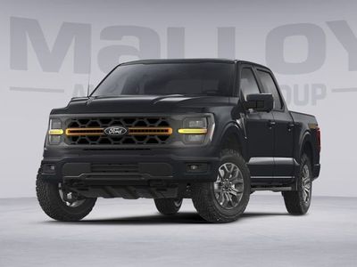 2025 Ford F-150 - Photo 1