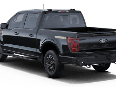 2025 Ford F-150 - Photo 28