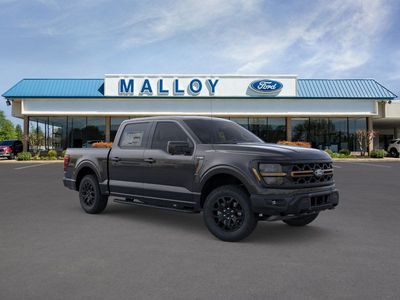 2025 Ford F-150 - Photo 20