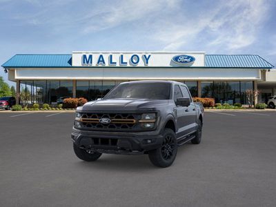 2025 Ford F-150 - Photo 7