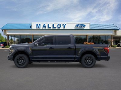2025 Ford F-150 - Photo 15