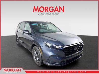 2026 Honda CR-V EX-L in Gray — front three-quarter view