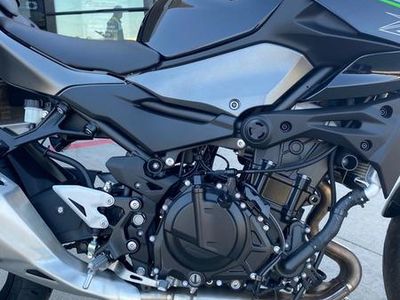 2025 Kawasaki Z500 ABS - Photo 15