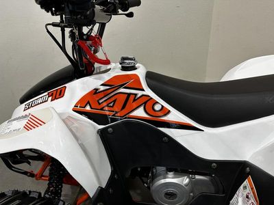 2025 Kayo Fox / Storm 70 - Photo 15