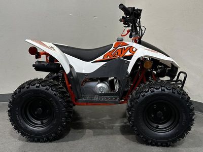 2025 Kayo Fox / Storm 70 - Photo 7