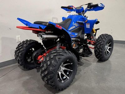 2026 Denago Powersports Daytona 250 FI - Photo 8