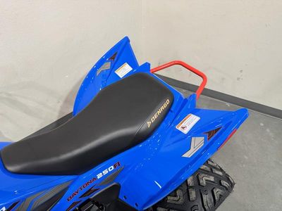 2026 Denago Powersports Daytona 250 FI - Photo 11