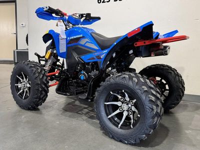 2026 Denago Powersports Daytona 250 FI - Photo 6