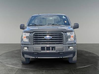 2017 Ford F-150 — side profile view