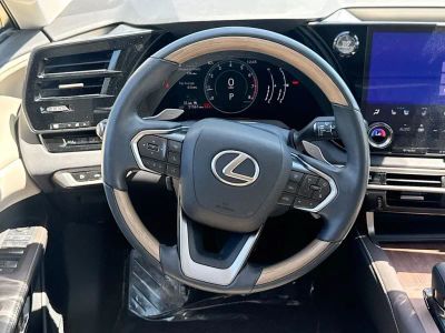 2023 Lexus RX - Photo 23