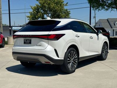 2023 Lexus RX - Photo 8